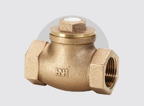 Check valve